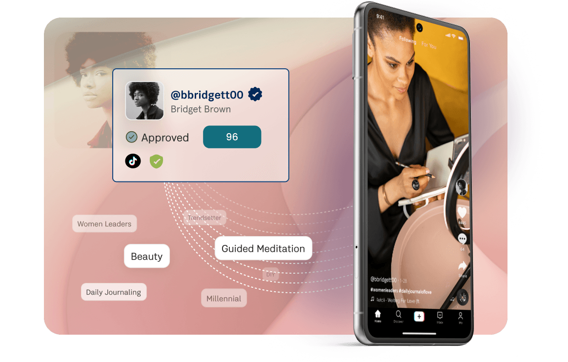 Lickly audience insights for matching creators to a campaign's target audience