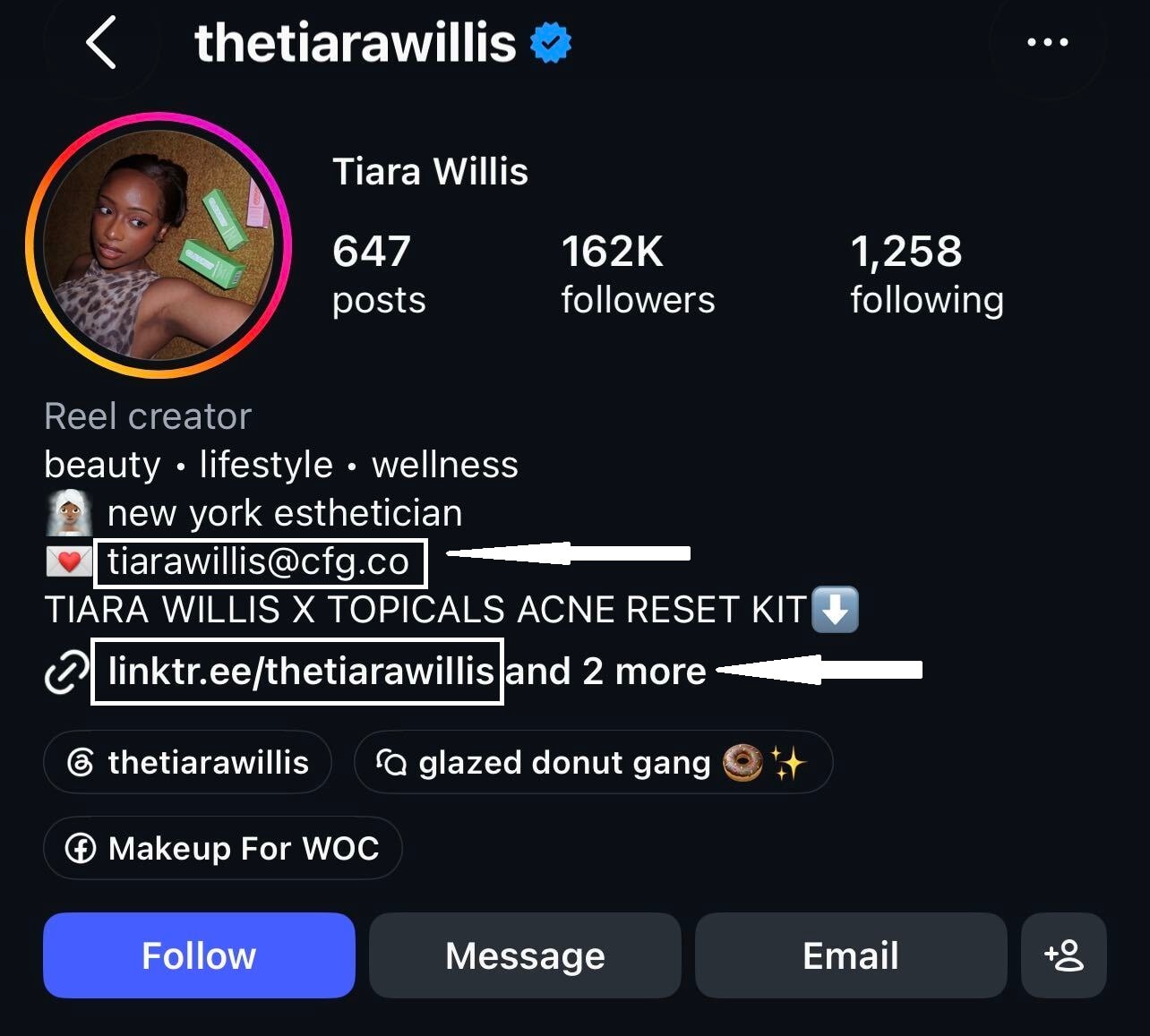 Instagram creator profile showing email and Linktree contact options